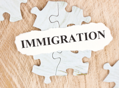 What are the Expertise of Immigration Law Firms for Corporations and Businesses