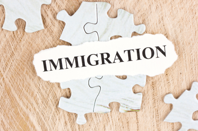 What are the expertise of immigration law firms for corporations and businesses | immtell